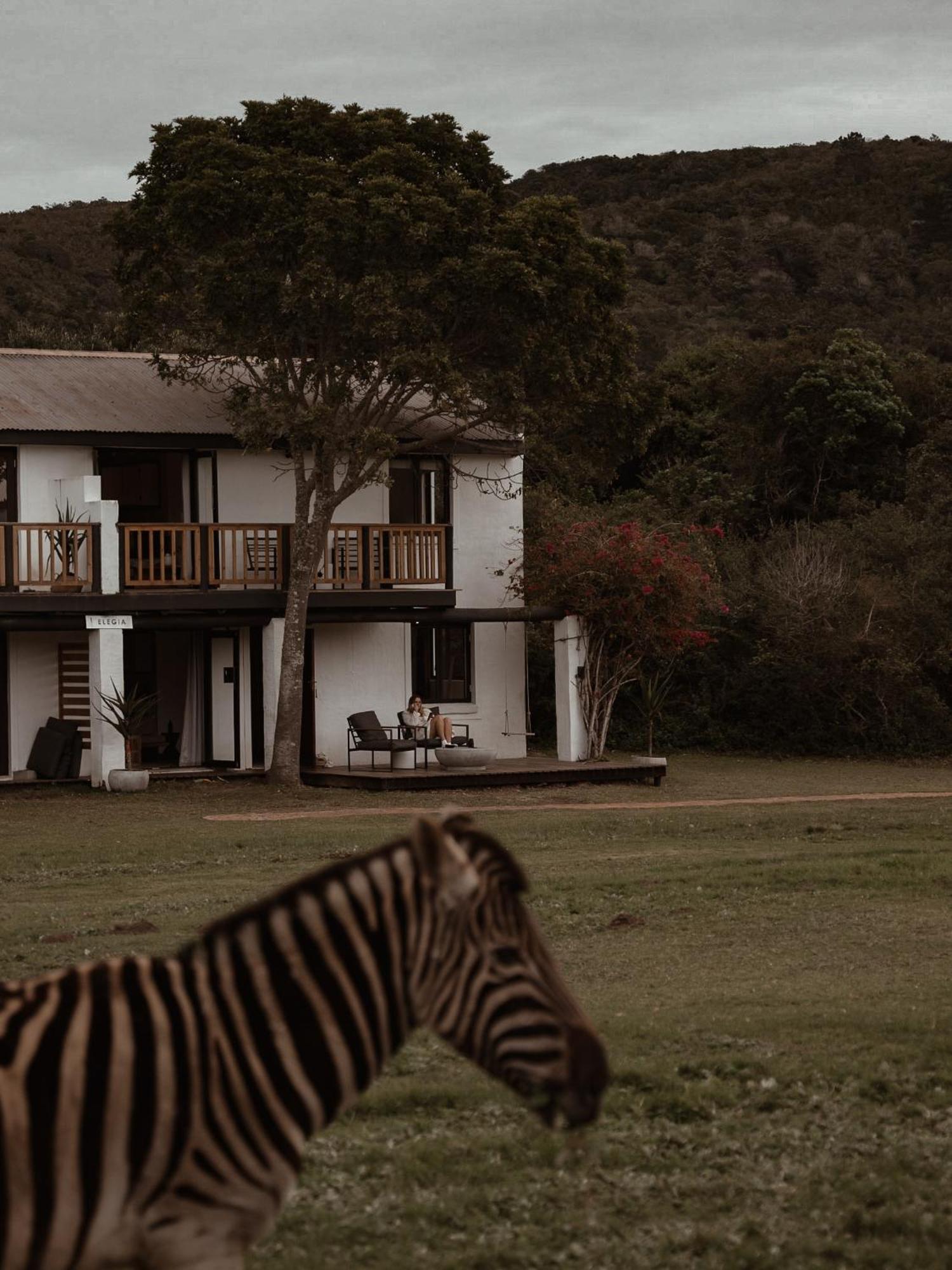 Stanley Island Villa Plettenberg Bay Dış mekan fotoğraf