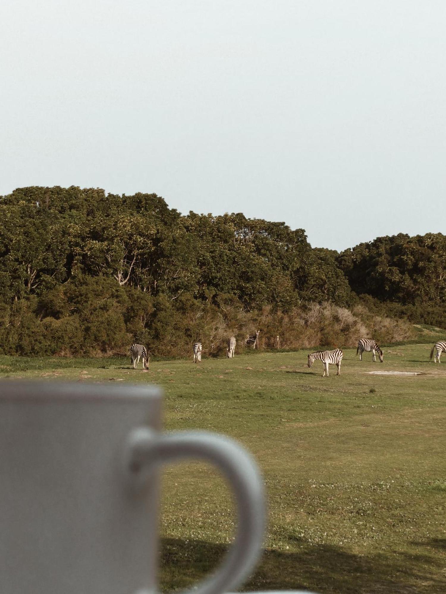 Stanley Island Villa Plettenberg Bay Dış mekan fotoğraf